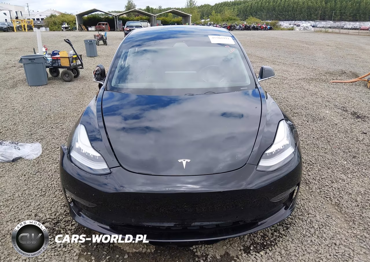 2019 TESLA MODEL 3  VIN:5YJ3E1EAXKF422500 - 12