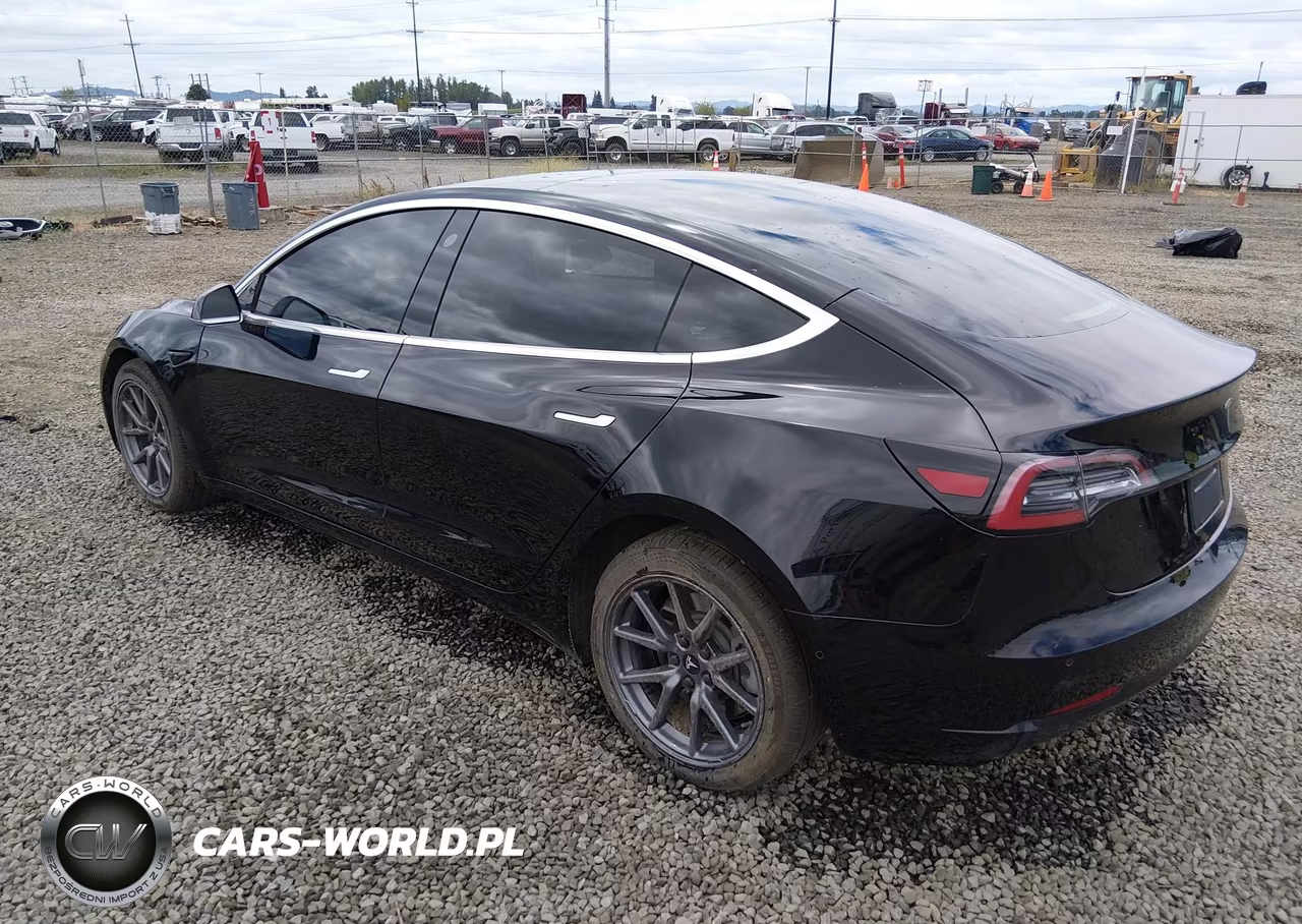 2019 TESLA MODEL 3  VIN:5YJ3E1EAXKF422500 - 3