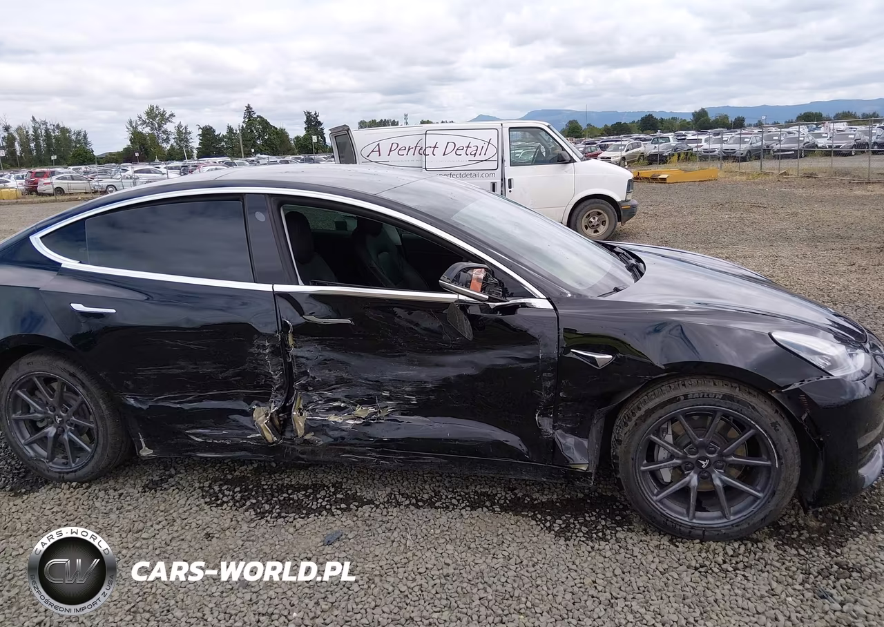 2019 TESLA MODEL 3  VIN:5YJ3E1EAXKF422500 - 6