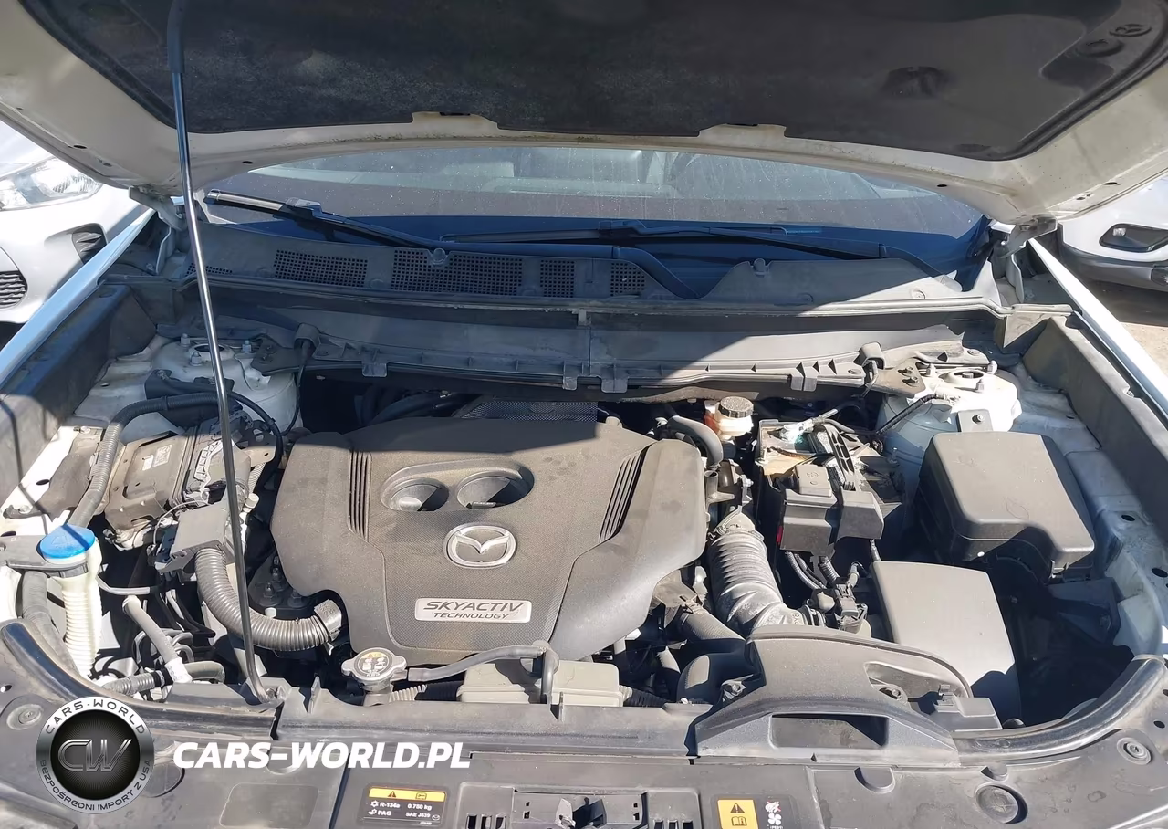 2016 Mazda Cx-9 Sport VIN:JM3TCABY8G0104136 - 10