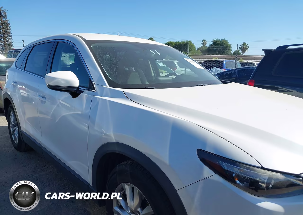 2016 Mazda Cx-9 Sport VIN:JM3TCABY8G0104136 - 13