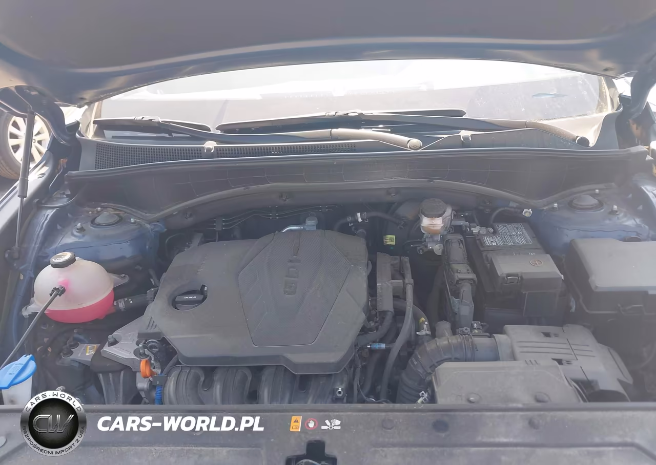 2023 Hyundai Santa Fe Sel VIN:5NMS3DAJ1PH586636 - 10