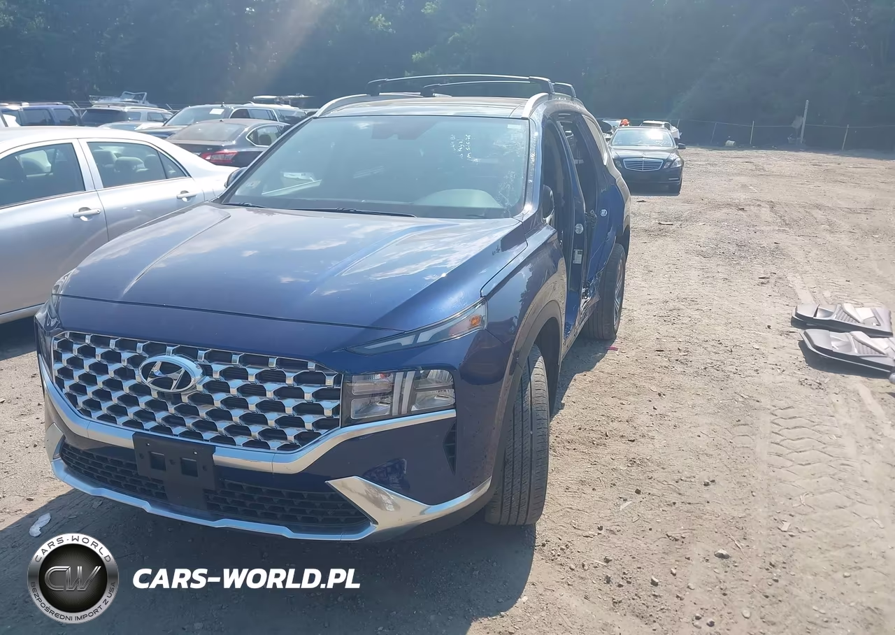 2023 Hyundai Santa Fe Sel VIN:5NMS3DAJ1PH586636 - 2