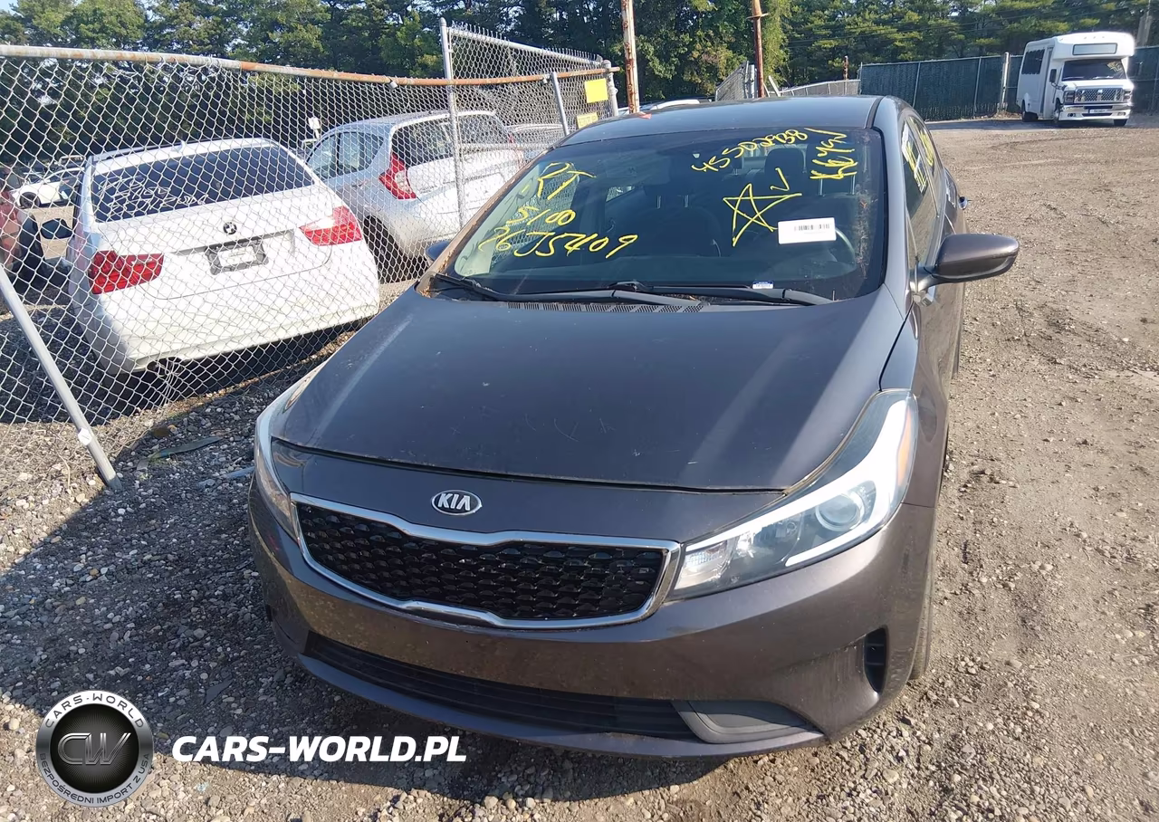 2018 Kia Forte Lx VIN:3KPFL4A79JE172072 - 12