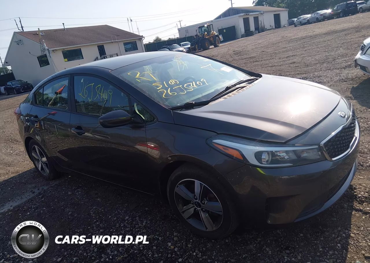 2018 Kia Forte Lx VIN:3KPFL4A79JE172072 - 13