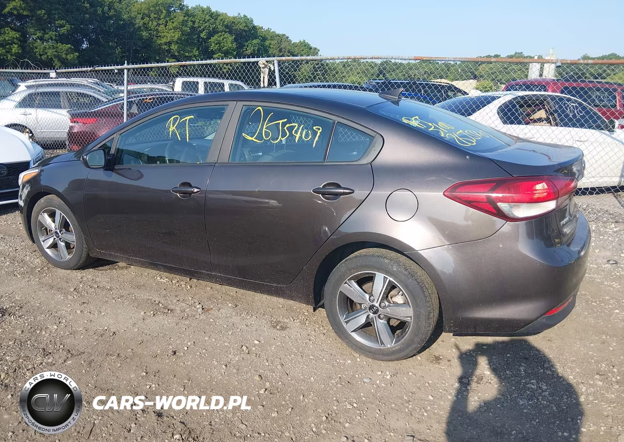 2018 Kia Forte Lx VIN:3KPFL4A79JE172072 - 14