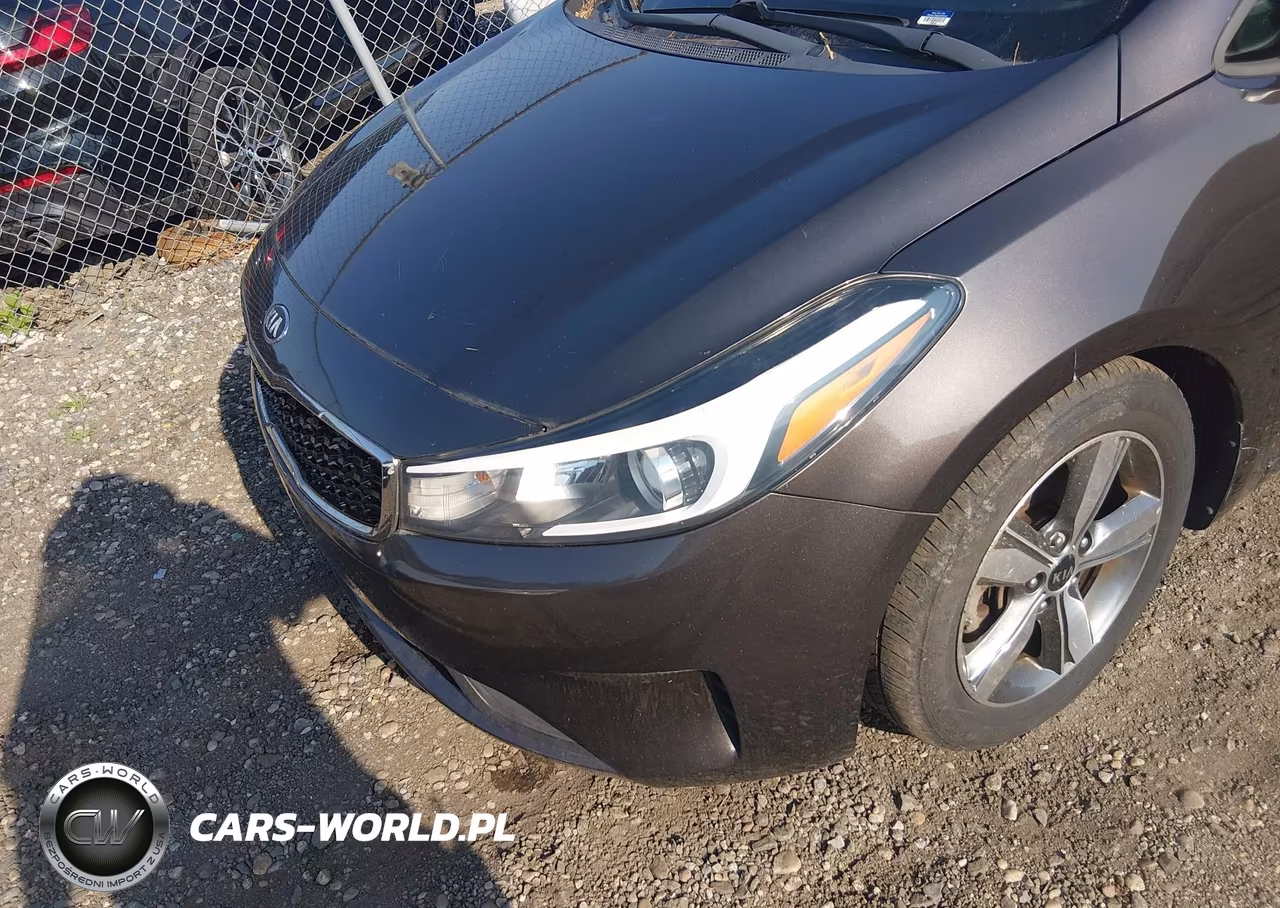 2018 Kia Forte Lx VIN:3KPFL4A79JE172072 - 6