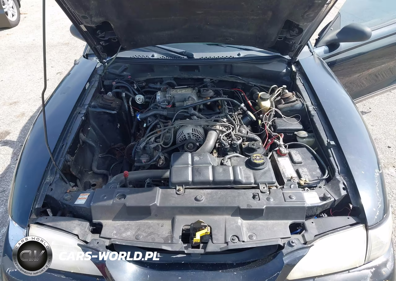 1998 Ford Mustang Gt VIN:1FAFP42X4WF221037 - 10