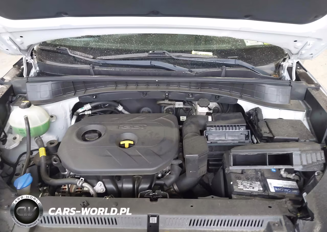 2019 Hyundai Tucson Value VIN:KM8J3CA47KU962091 - 10