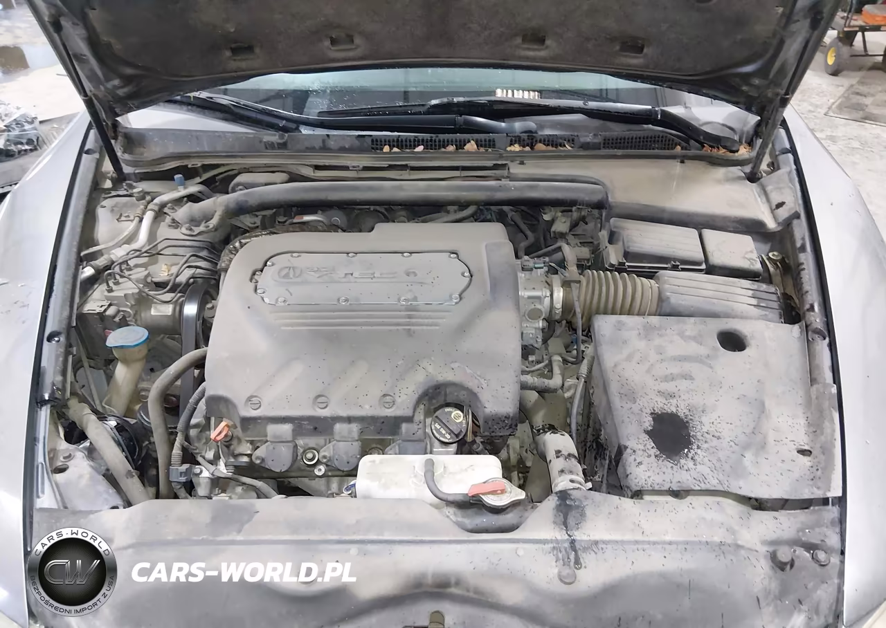 2005 Acura Tl VIN:19UUA66245A041471 - 10