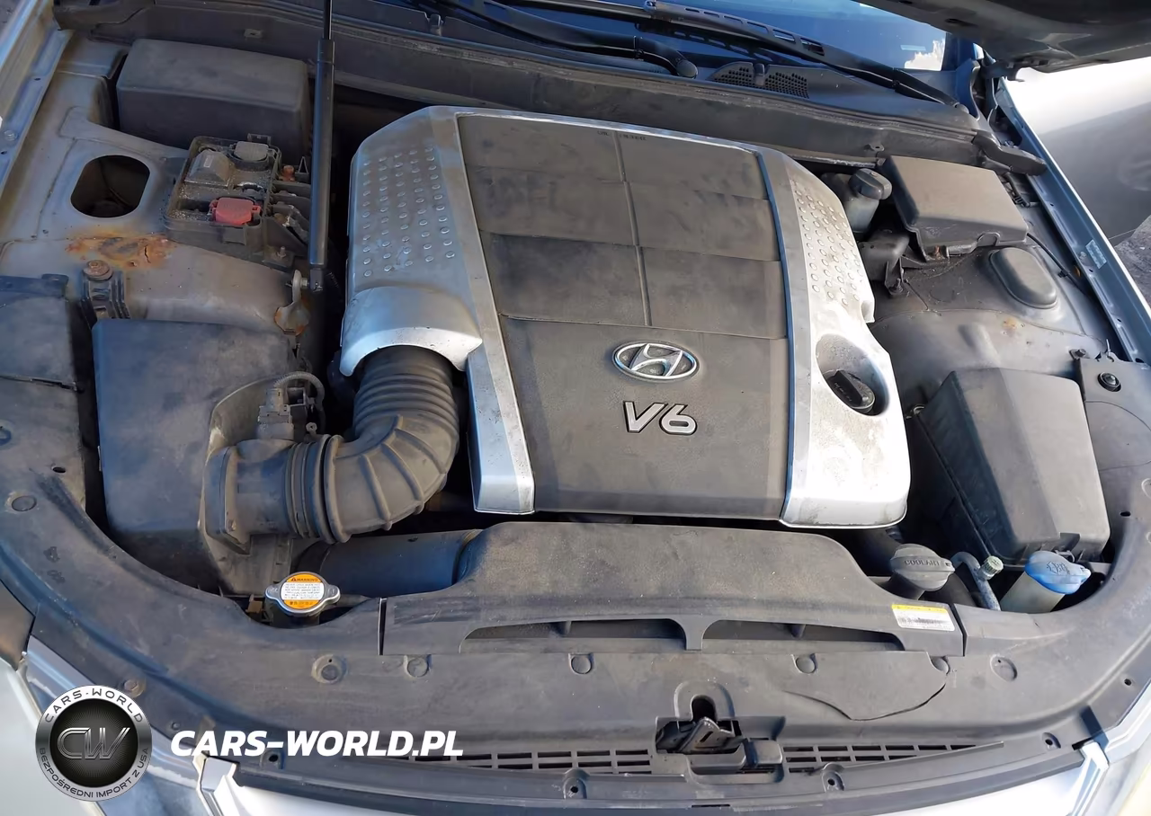 2009 Hyundai Genesis 3.8 VIN:KMHGC46E79U039511 - 10