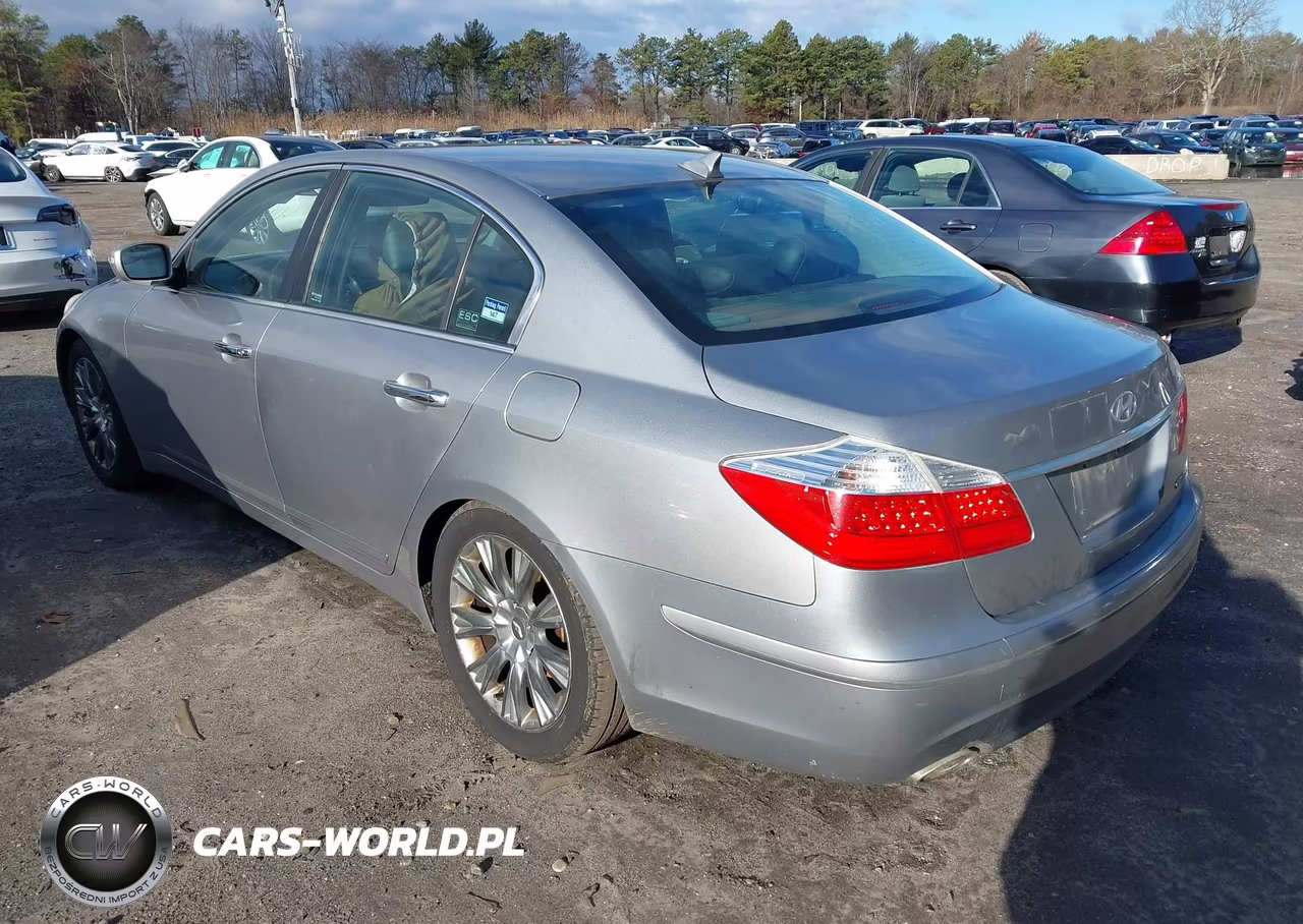 2009 Hyundai Genesis 3.8 VIN:KMHGC46E79U039511 - 3