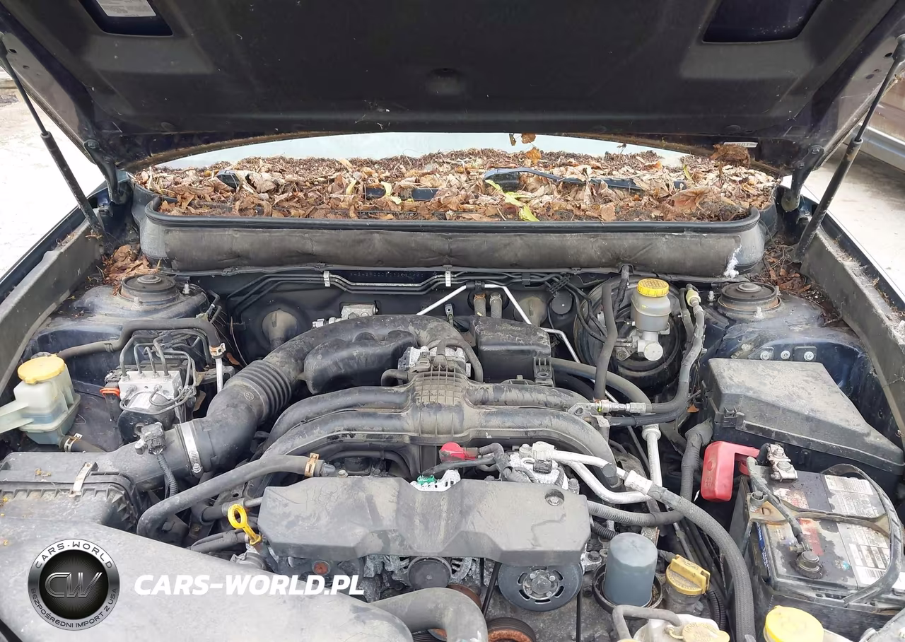 2013 Subaru Outback 2.5I Premium VIN:4S4BRCCC5D3278799 - 10