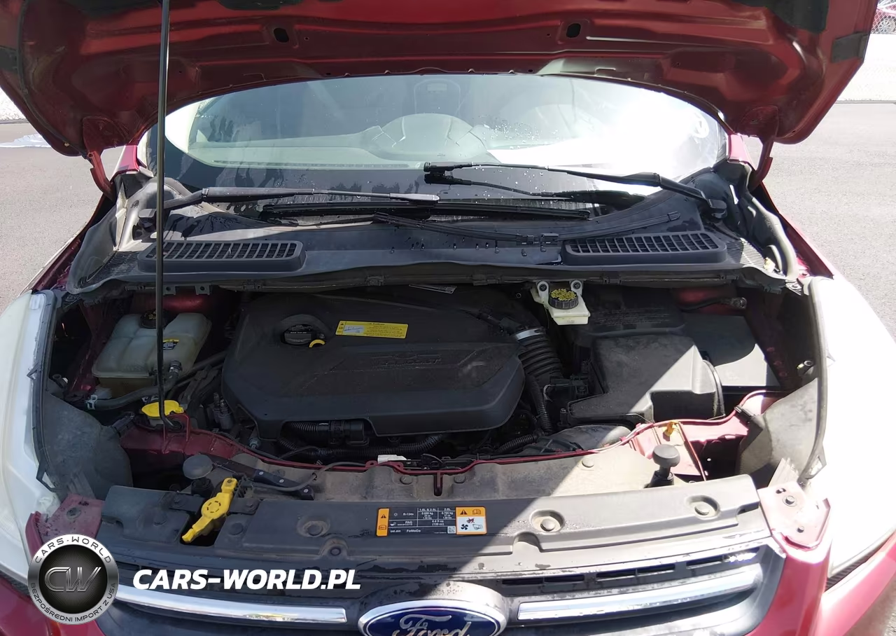 2013 Ford Escape Se VIN:1FMCU0GX3DUD53654 - 10