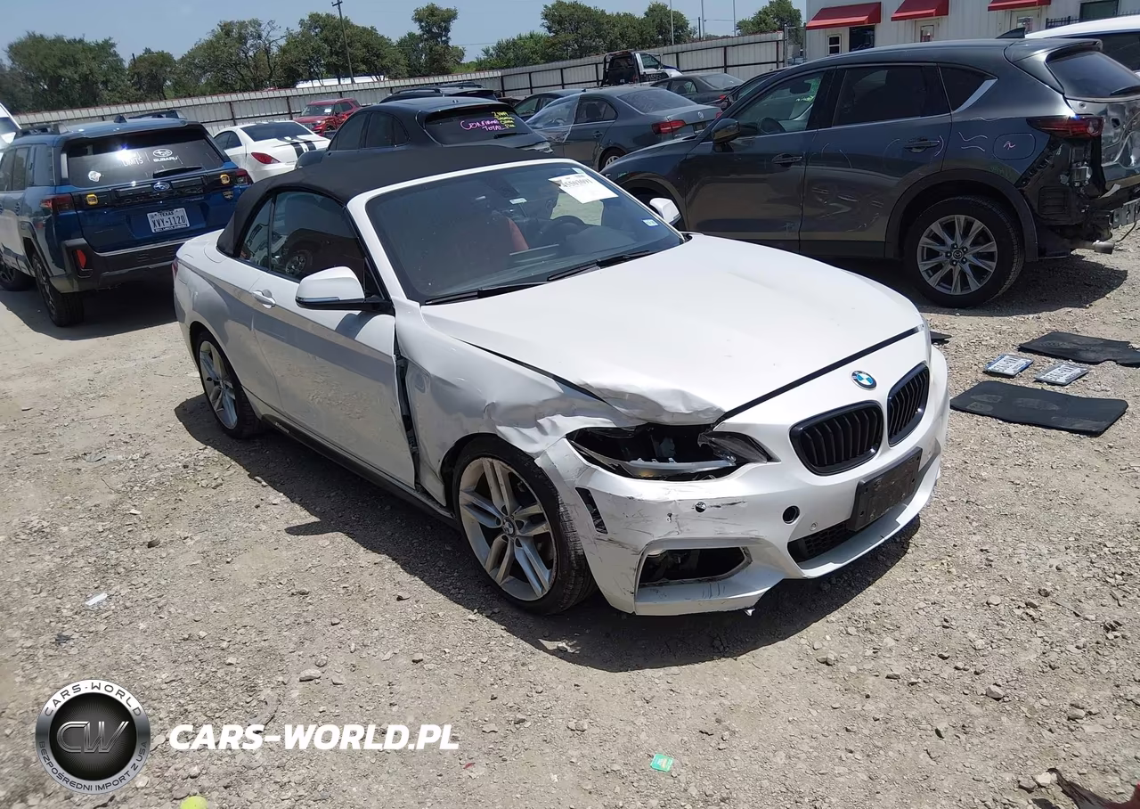 2017 BMW 230I