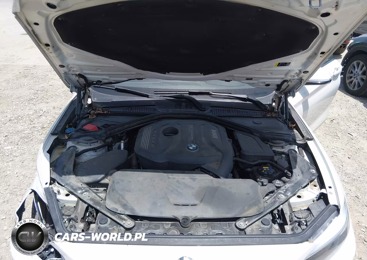 2017 BMW 230I VIN:WBA2K9C33HV647355 - 10