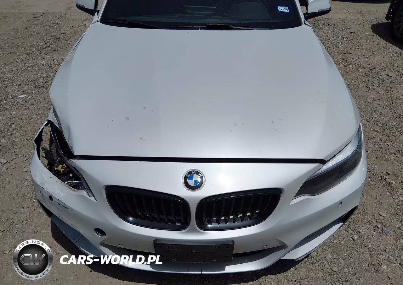 2017 BMW 230I VIN:WBA2K9C33HV647355 - 12
