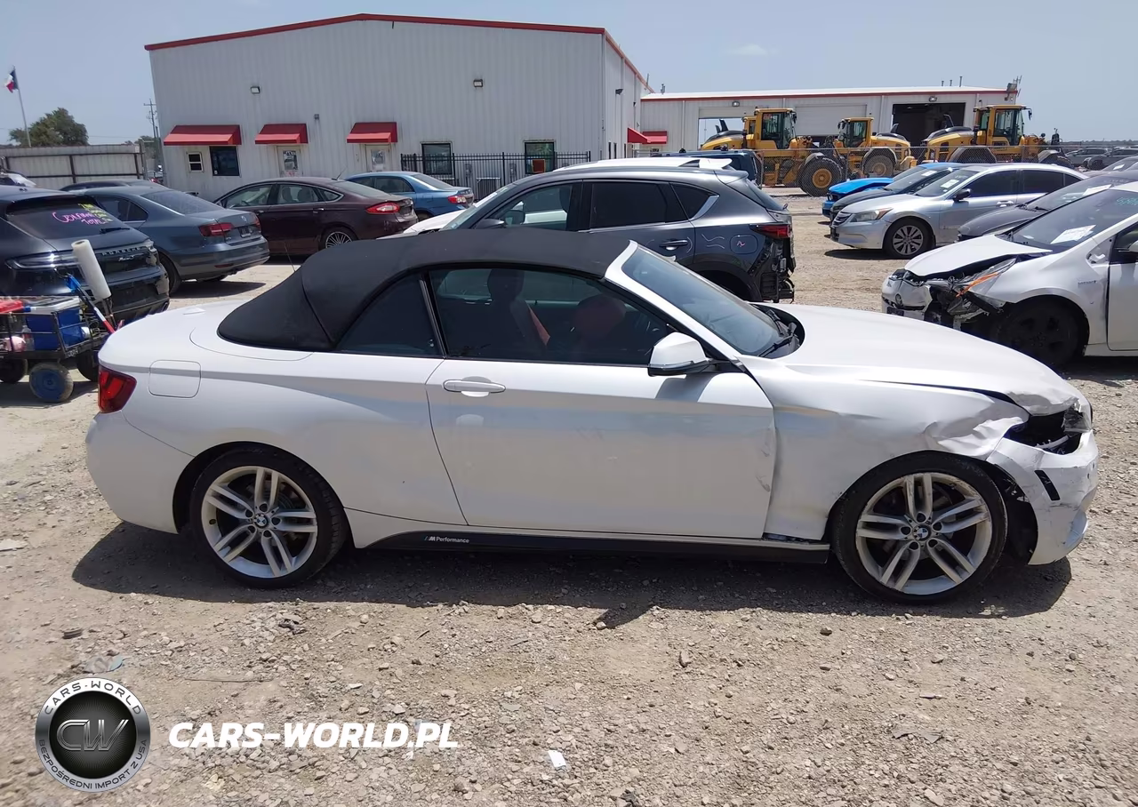 2017 BMW 230I VIN:WBA2K9C33HV647355 - 13