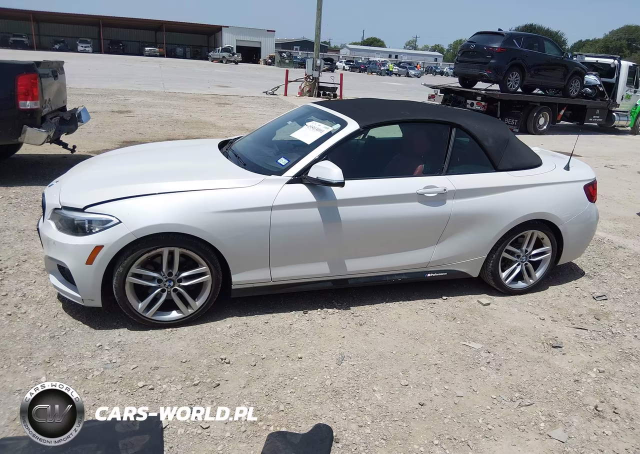 2017 BMW 230I VIN:WBA2K9C33HV647355 - 14