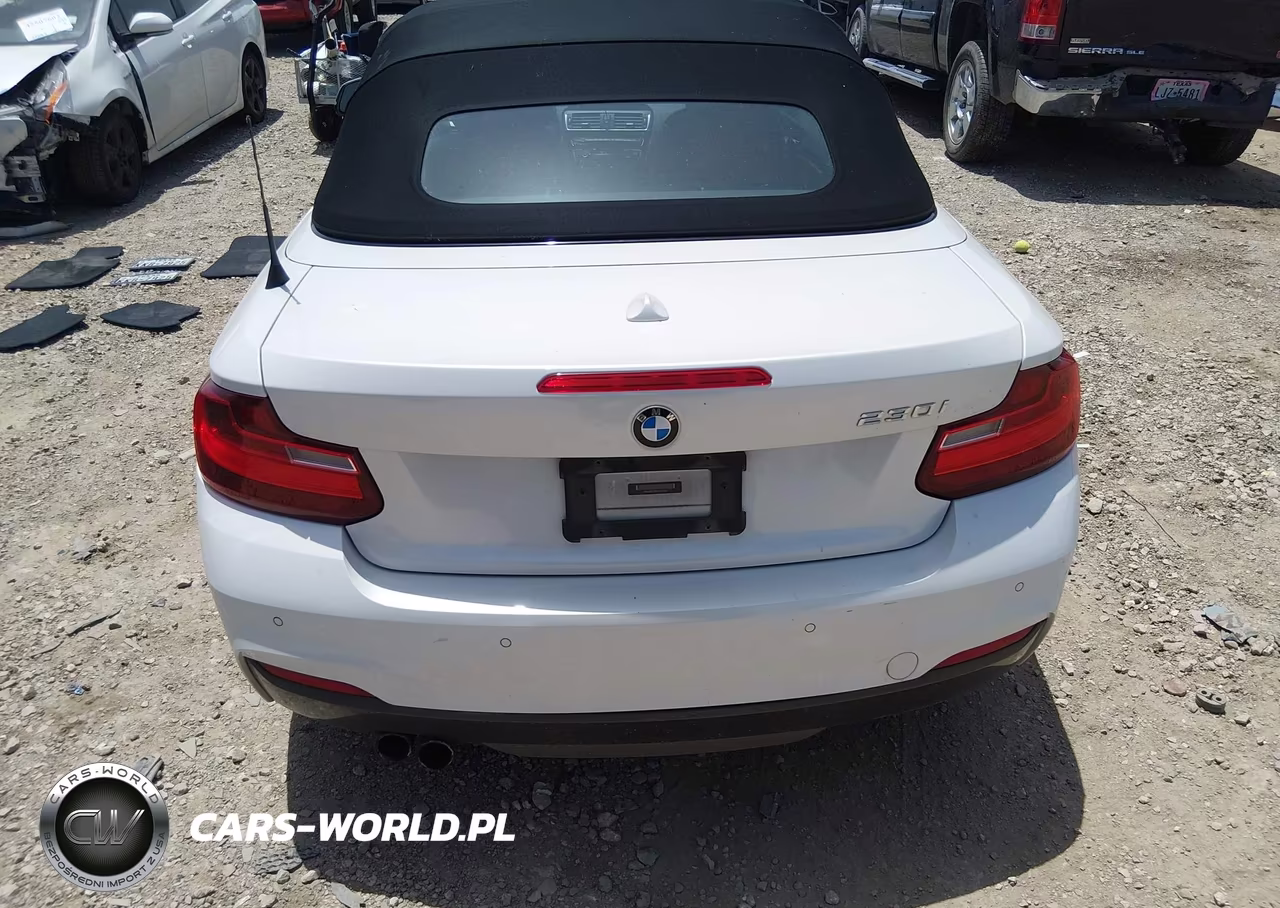 2017 BMW 230I VIN:WBA2K9C33HV647355 - 16