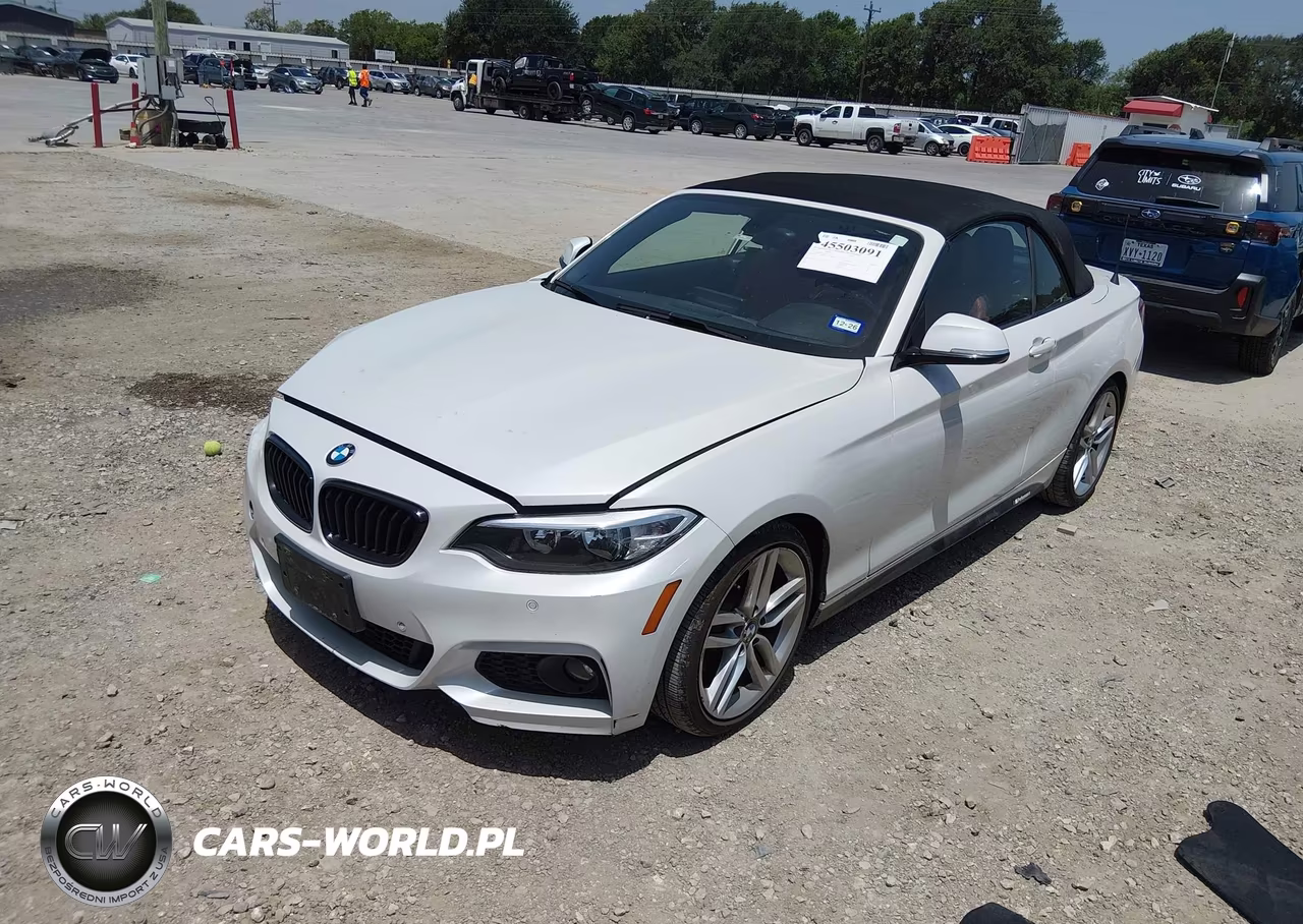 2017 BMW 230I VIN:WBA2K9C33HV647355 - 2