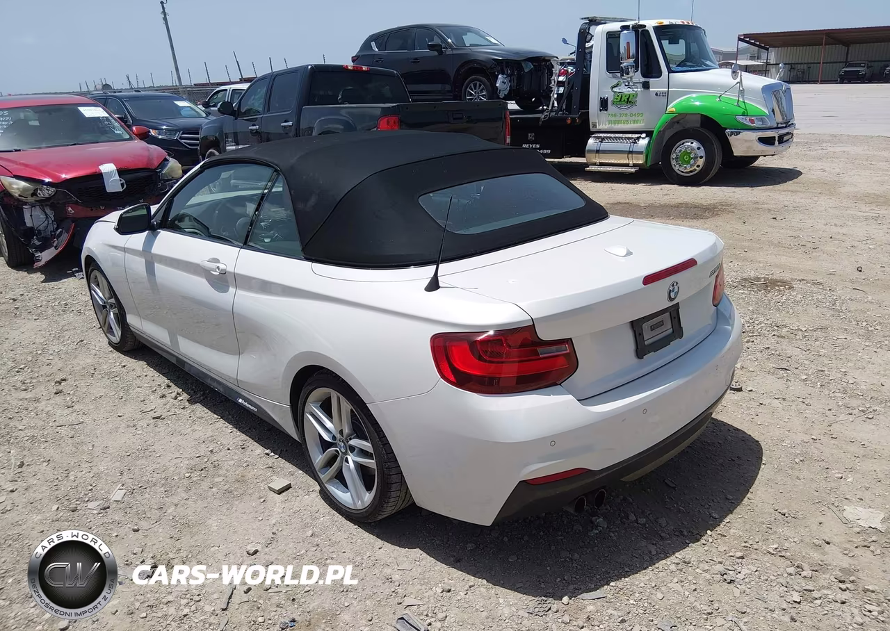 2017 BMW 230I VIN:WBA2K9C33HV647355 - 3