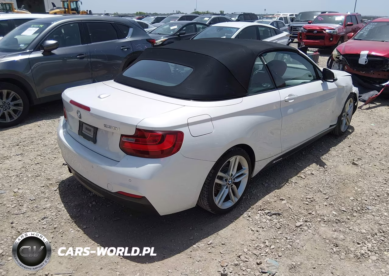 2017 BMW 230I VIN:WBA2K9C33HV647355 - 4