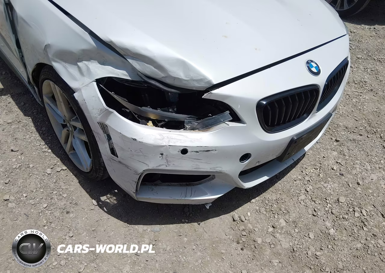 2017 BMW 230I VIN:WBA2K9C33HV647355 - 6