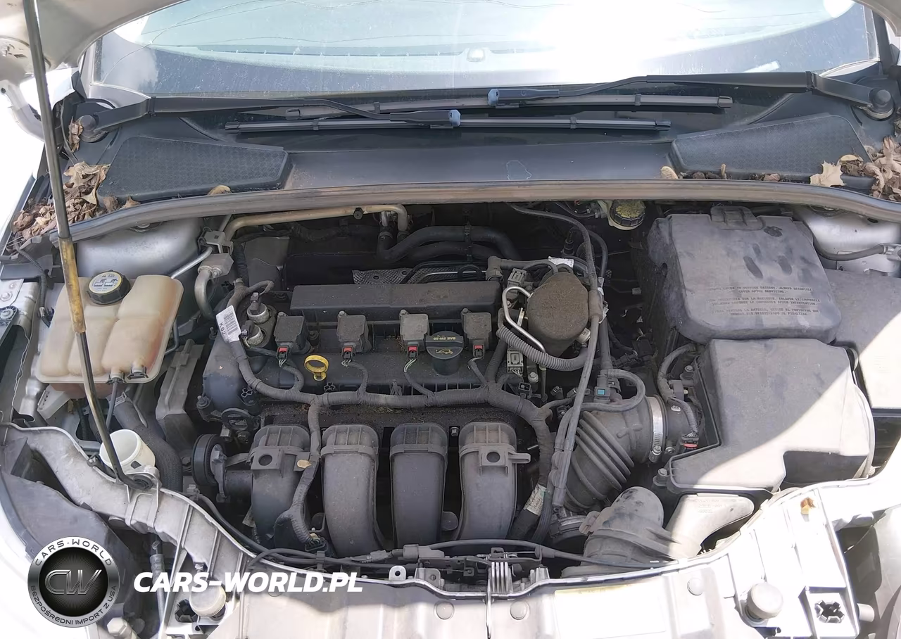 2013 Ford Focus Se VIN:1FADP3F2XDL354688 - 10