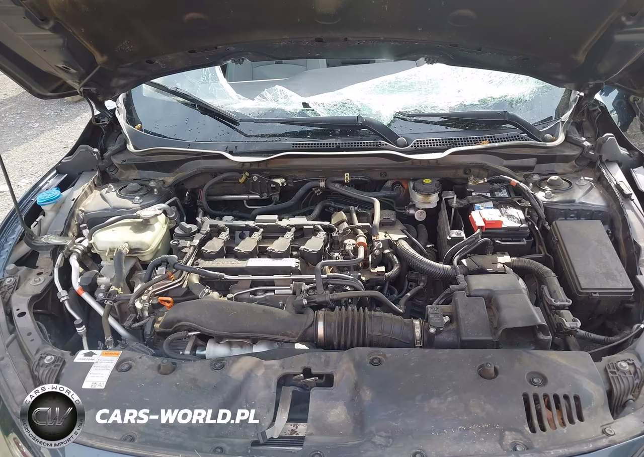 2020 Honda Civic Ex VIN:19XFC1F3XLE007431 - 10