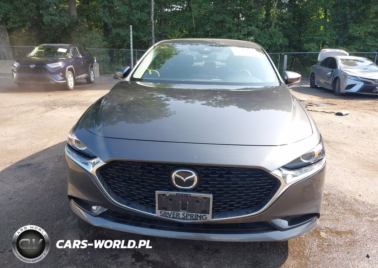 2019 Mazda Mazda3 Preferred Package VIN:JM1BPBDM0K1115692 - 12