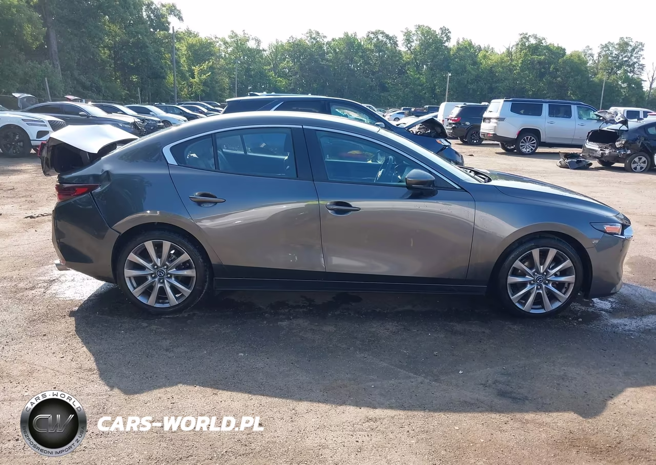 2019 Mazda Mazda3 Preferred Package VIN:JM1BPBDM0K1115692 - 13