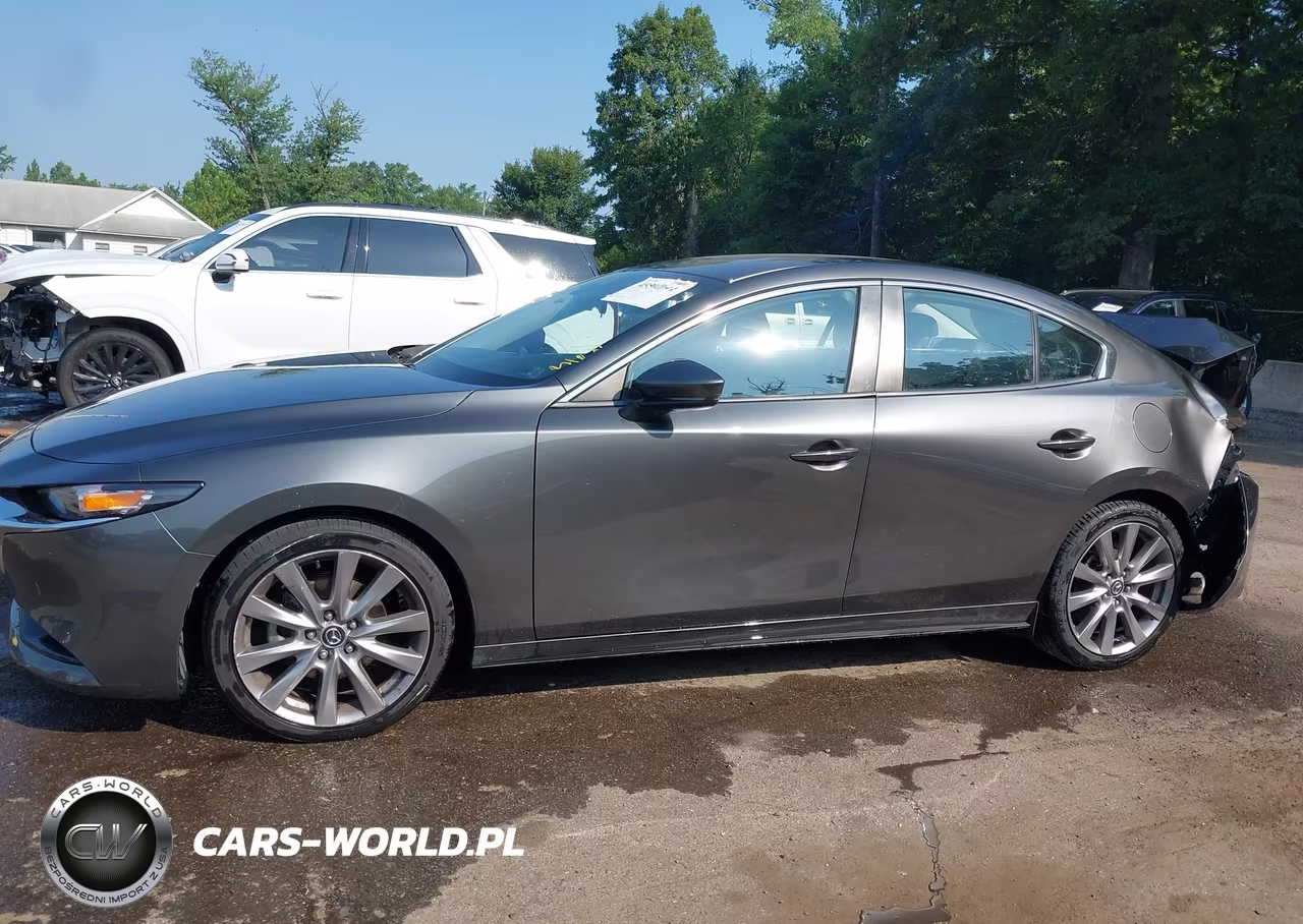 2019 Mazda Mazda3 Preferred Package VIN:JM1BPBDM0K1115692 - 14