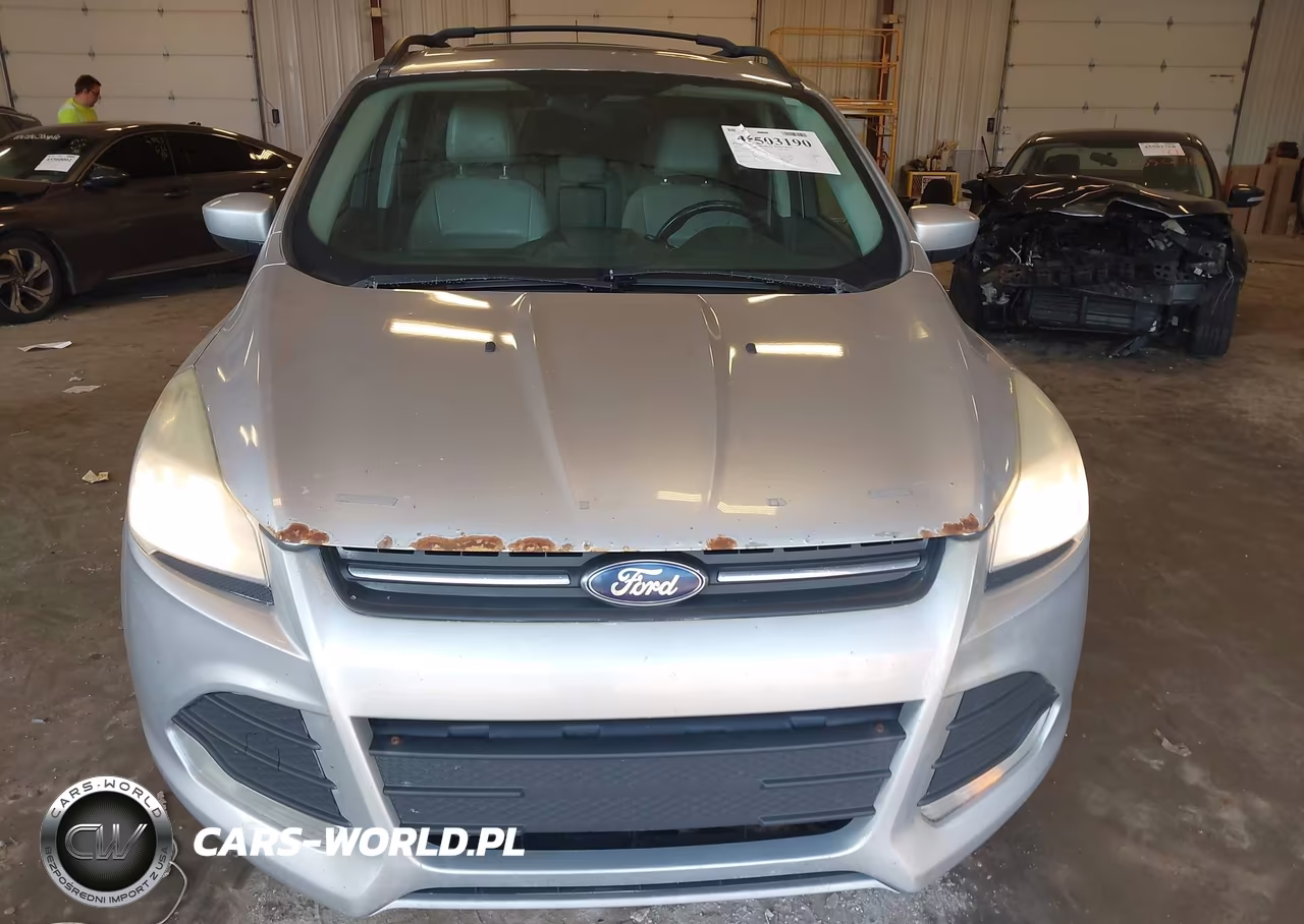 2014 Ford Escape Se VIN:1FMCU9G99EUD27373 - 12