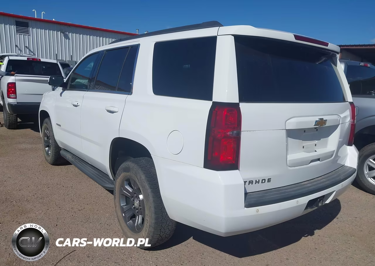 2019 Chevrolet Tahoe Ls VIN:1GNSKAEC0KR343067 - 3