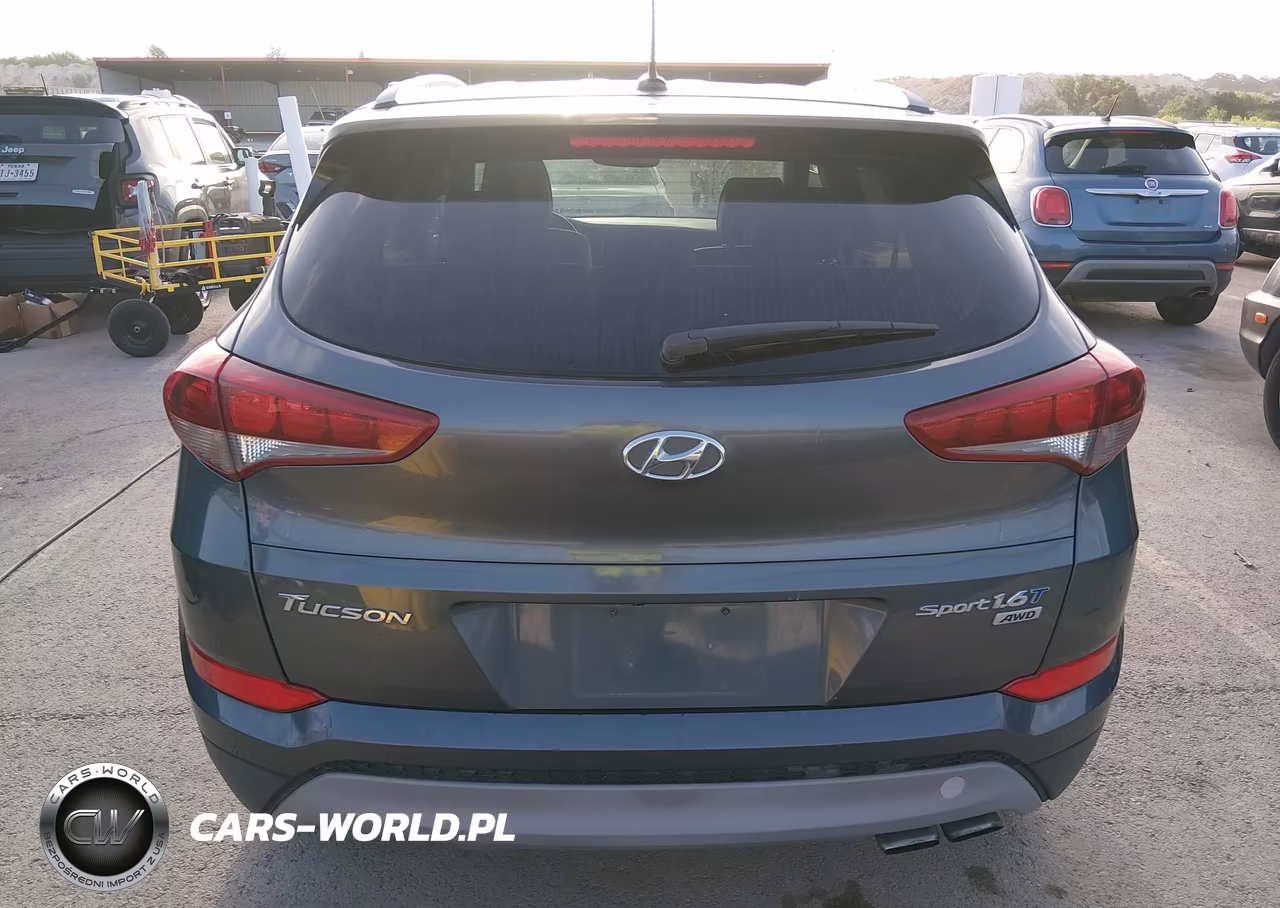 2017 Hyundai Tucson Sport VIN:KM8J3CA2XHU507730 - 16