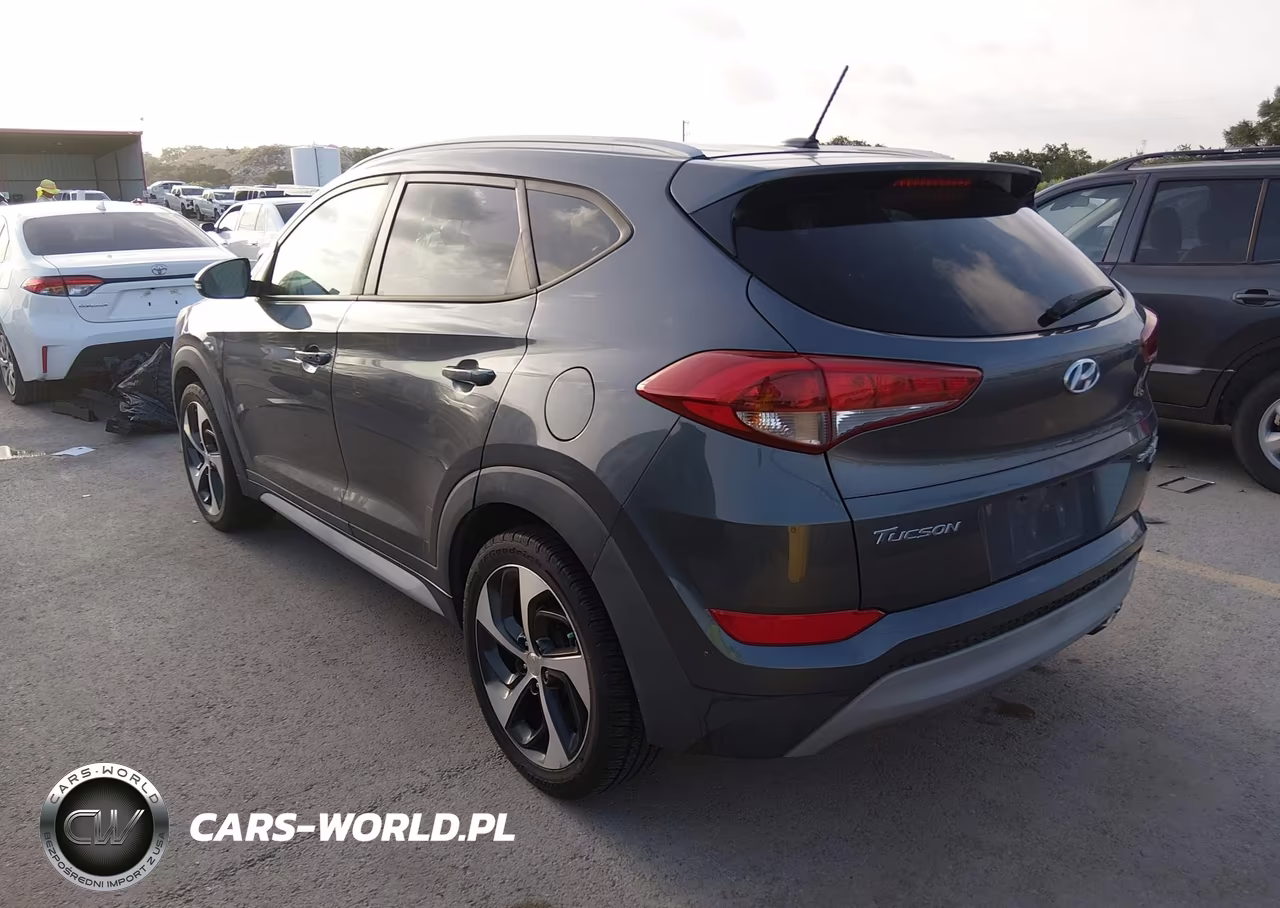 2017 Hyundai Tucson Sport VIN:KM8J3CA2XHU507730 - 3