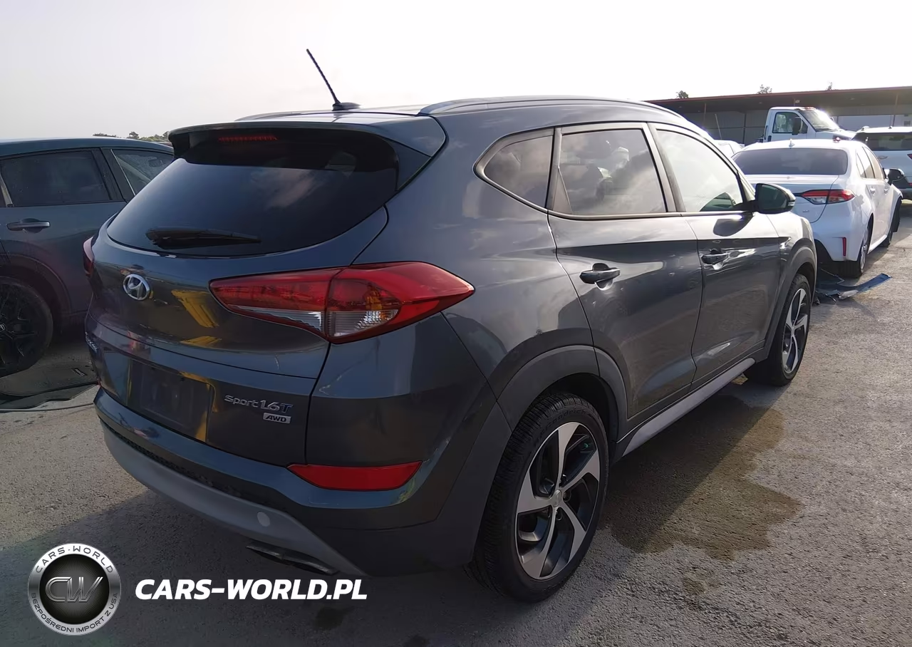 2017 Hyundai Tucson Sport VIN:KM8J3CA2XHU507730 - 4