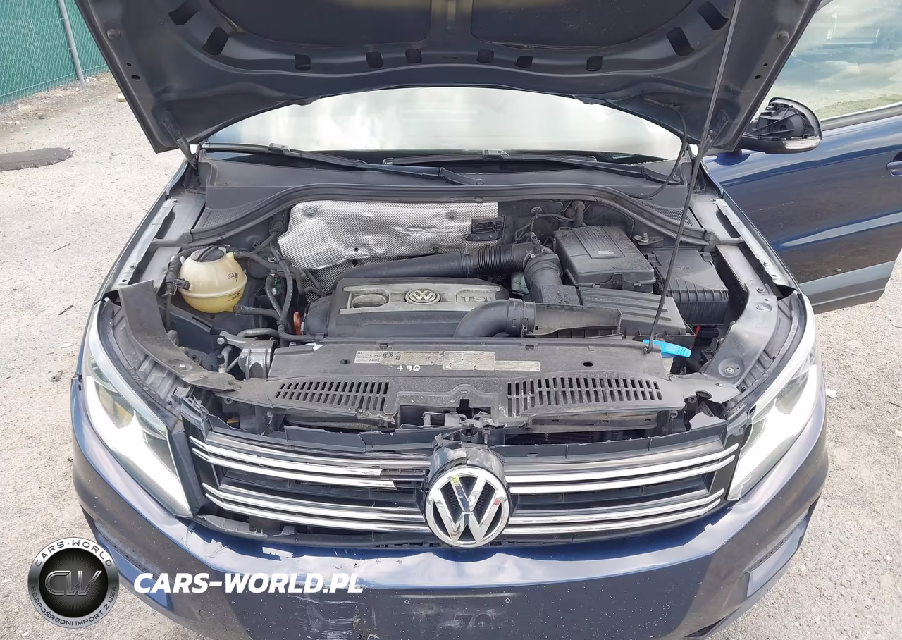 2013 Volkswagen Tiguan S VIN:WVGAV7AX5DW511390 - 10