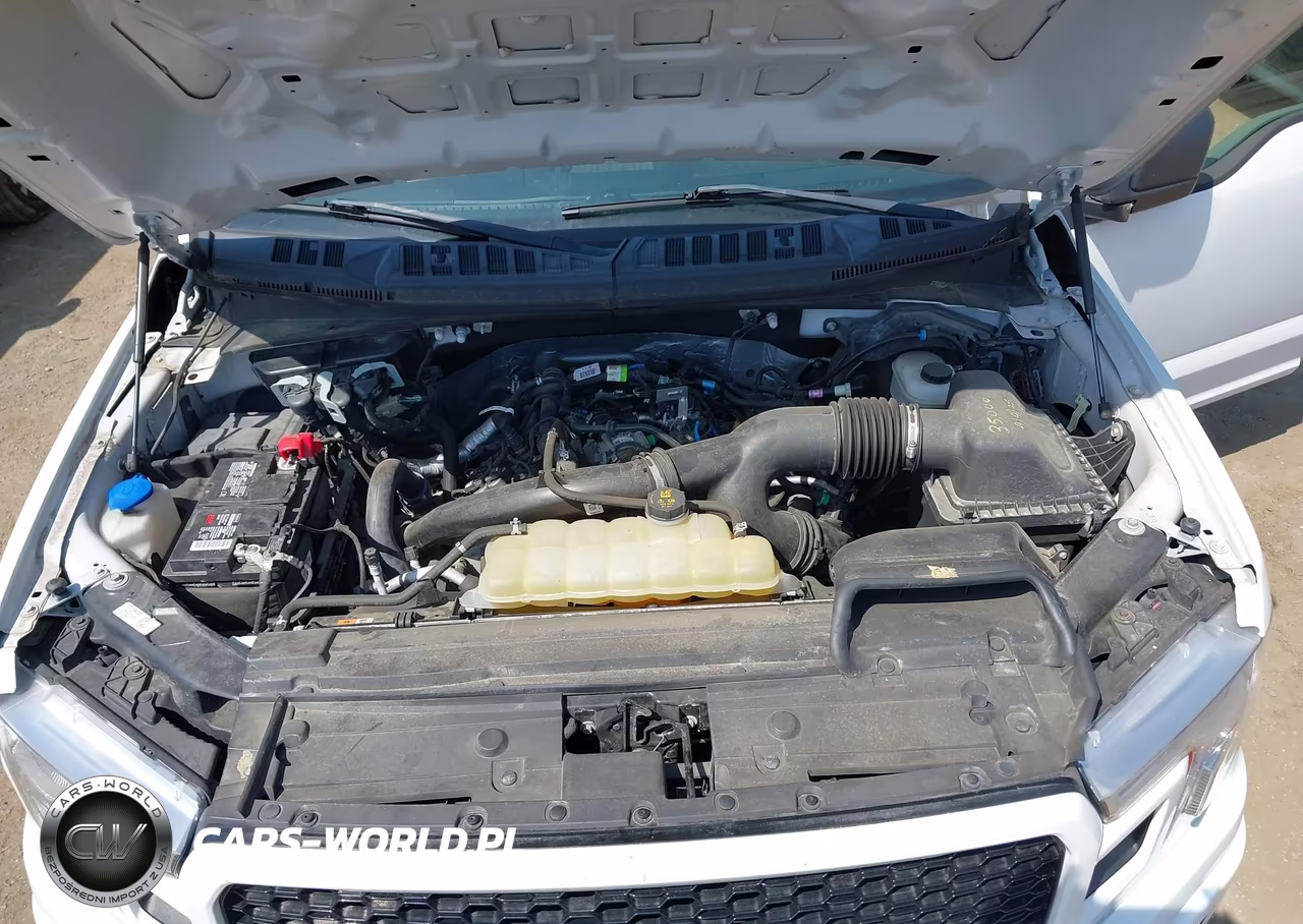 2019 Ford F-150 Xl VIN:1FTEW1EPXKFC41659 - 10