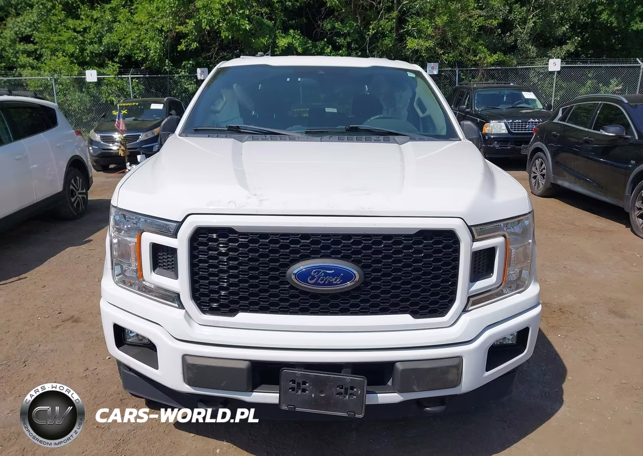 2019 Ford F-150 Xl VIN:1FTEW1EPXKFC41659 - 12