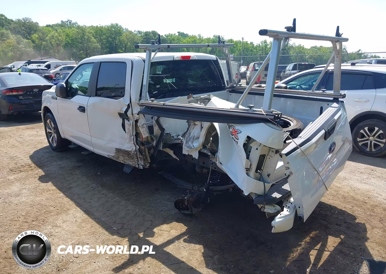 2019 Ford F-150 Xl VIN:1FTEW1EPXKFC41659 - 3