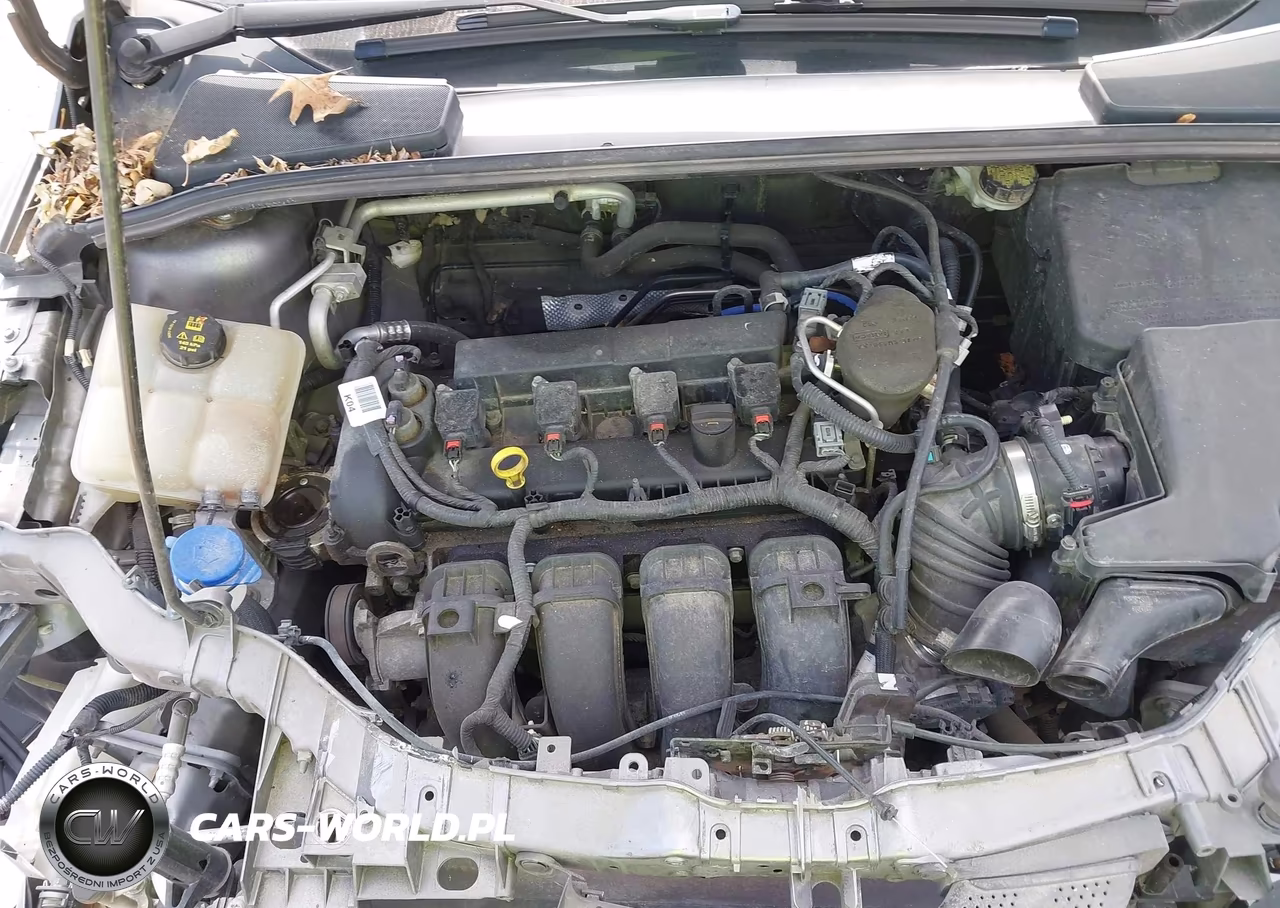 2014 Ford Focus Se VIN:1FADP3K28EL439651 - 10