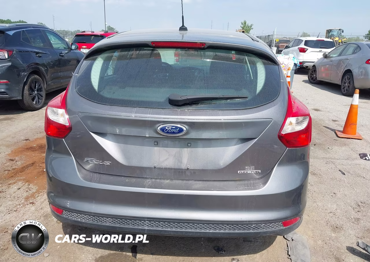2014 Ford Focus Se VIN:1FADP3K28EL439651 - 16