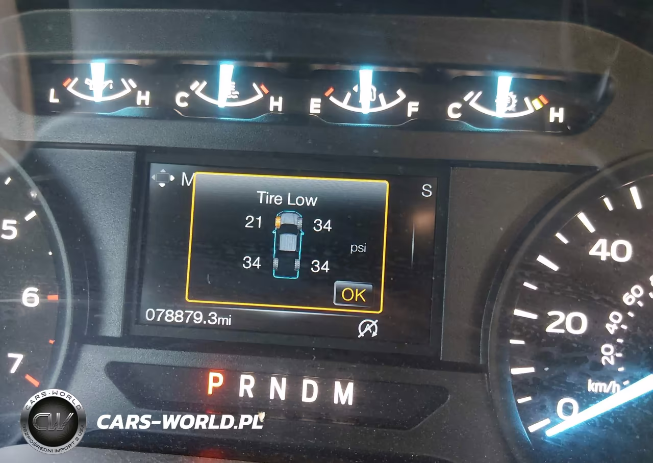 2020 Ford F-150 Xl VIN:1FTEW1EP5LKE71554 - 15