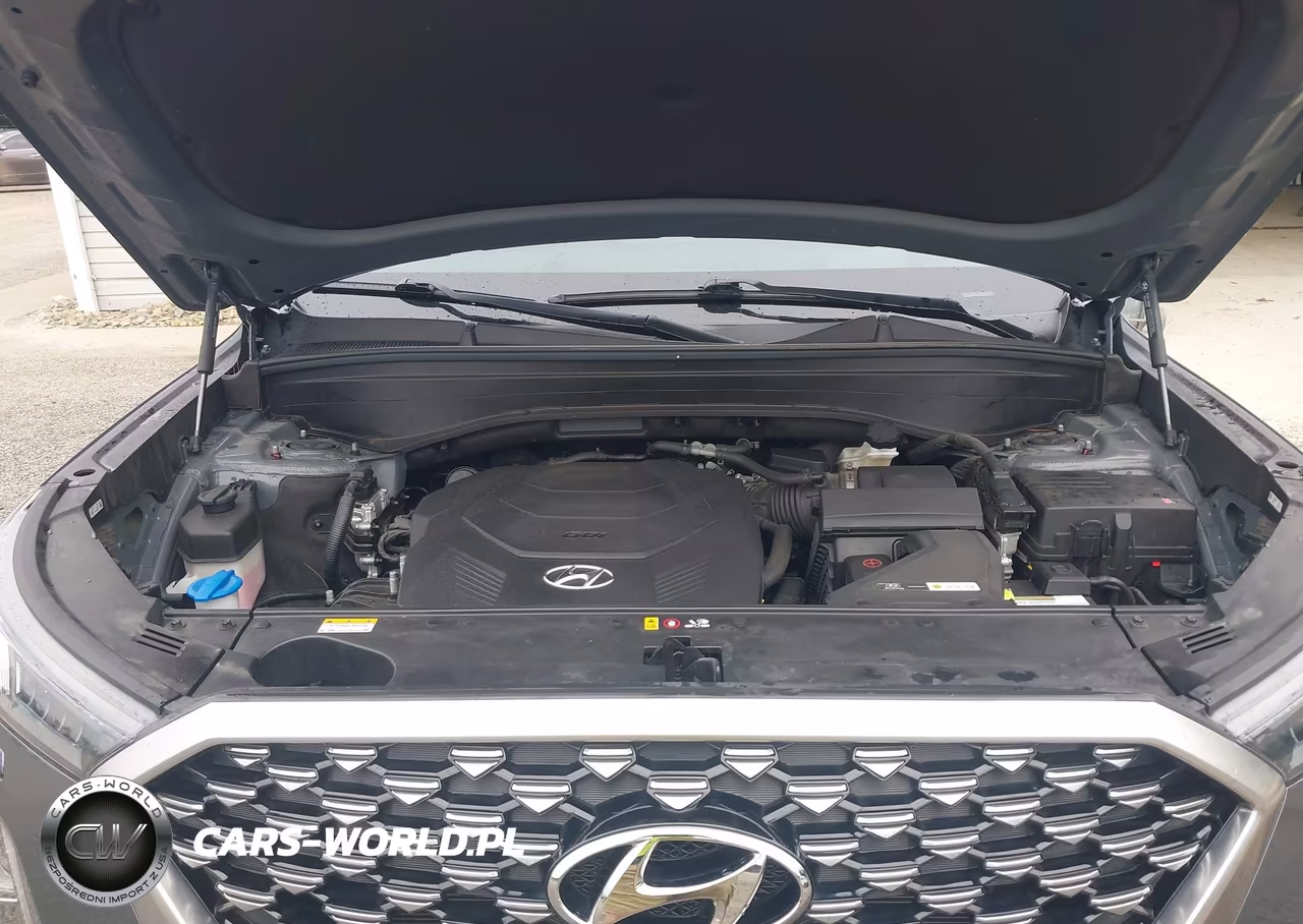 2022 Hyundai Palisade Calligraphy VIN:KM8R7DHE1NU441433 - 10
