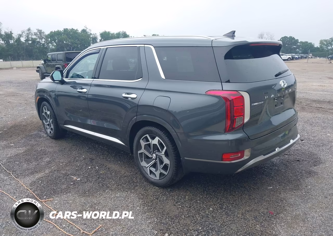 2022 Hyundai Palisade Calligraphy VIN:KM8R7DHE1NU441433 - 3