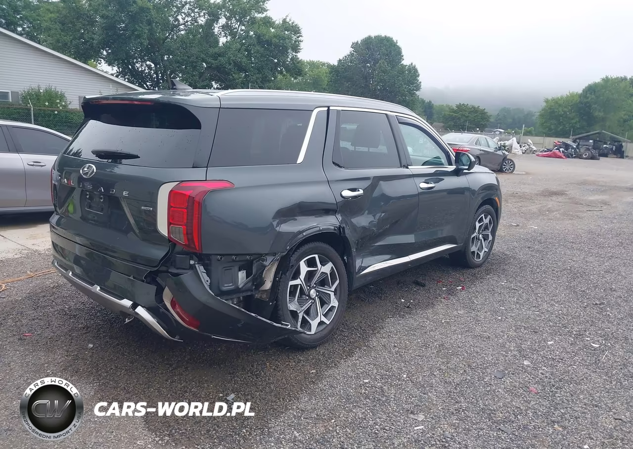 2022 Hyundai Palisade Calligraphy VIN:KM8R7DHE1NU441433 - 4