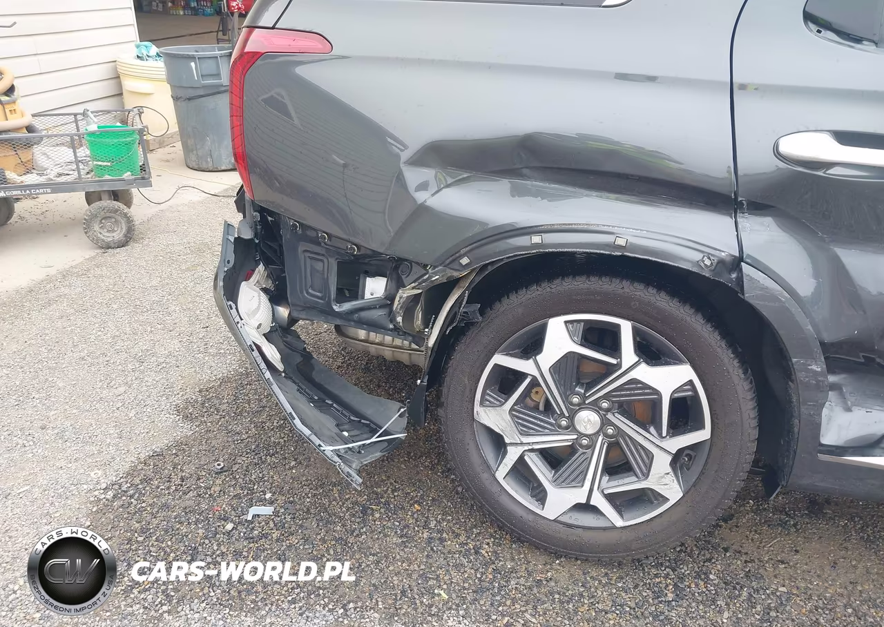2022 Hyundai Palisade Calligraphy VIN:KM8R7DHE1NU441433 - 6