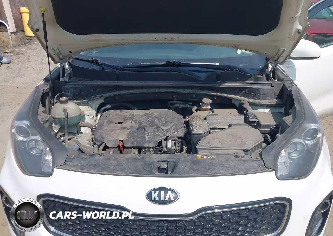 2017 Kia Sportage Lx VIN:KNDPMCAC1H7291236 - 10